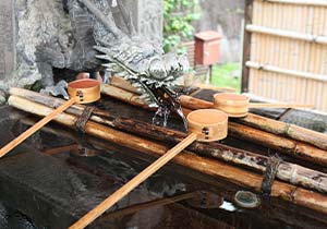 Cleanse your hands and mouth at Temizuya(purification trough)