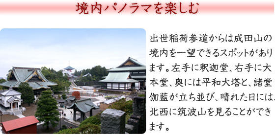 境内パノラマを楽しむ