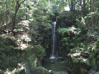 成田山公園（夏）