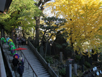 成田山公園（紅葉）