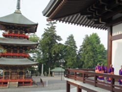 成田山七五三特集 大本山成田山新勝寺