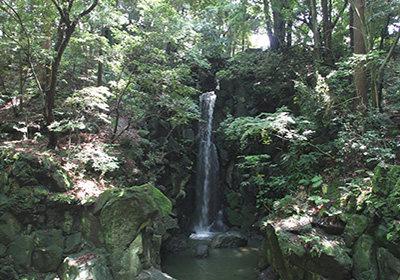 成田山公園（夏）