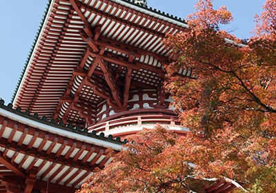 成田山公園（紅葉）