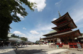 大本堂と五重塔