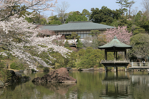 成田山公園　浮御堂