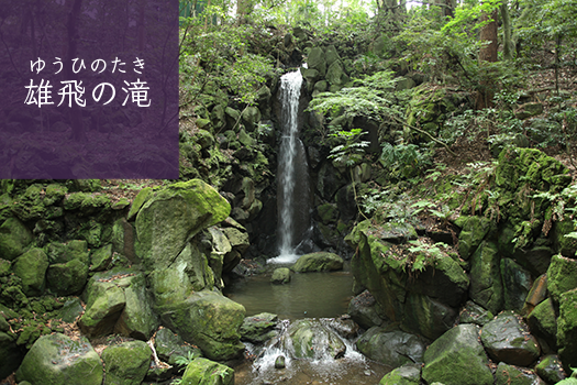成田山公園　雄飛の滝